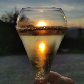 Mariage soirée cocktail - Ferme Fortia - Montréal-Les-Sources - Drôme provencal