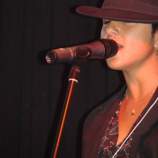 soirée privée Allan Domaine en Drôme chanteuse live cocktail